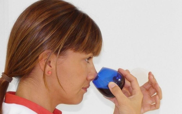 Fases de la cata del aceite de oliva virgen extra amparado bajo la DOP Estepa