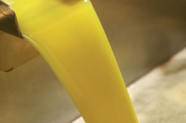 Proceso de producción del aceite de oliva virgen extra Proceso de producción del aceite de oliva virgen extra amparado bajo la DOP Estepa