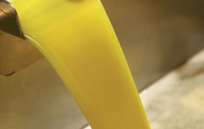 Proceso de producción del aceite de oliva virgen extra amparado bajo la DOP Estepa
