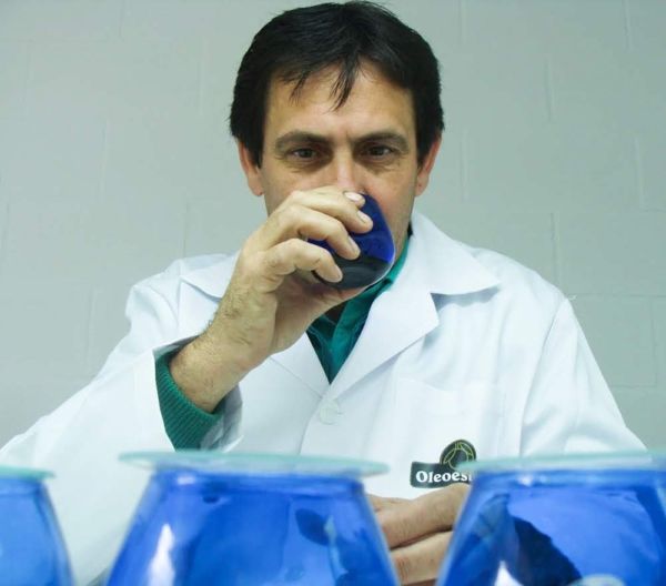 La cata en el proceso de elaboración del Aceite de Oliva Virgen Extra de la DOP Estepa