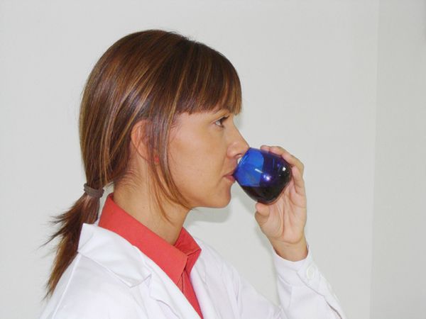 Paso 4 en la cata de Aceite de Oliva Virgen Extra de la DOP Estepa