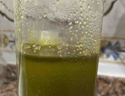 ¿Qué pasa cuando se solidifica el aceite de oliva virgen extra?