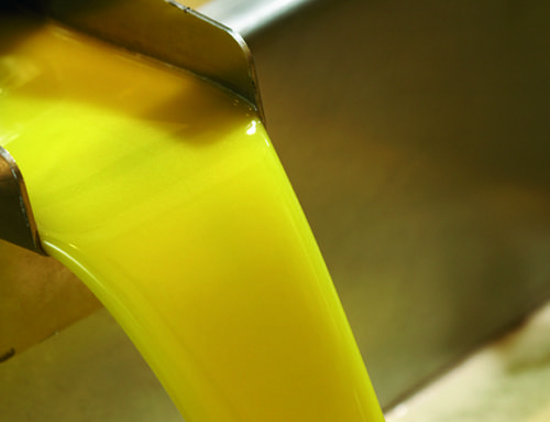 ¿Aceite de oliva virgen extra filtrado o sin filtrar?