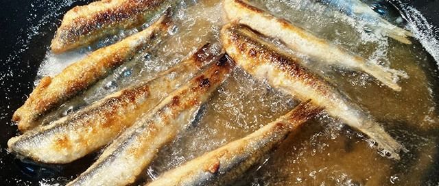 Pescado en Aceite de Oliva Virgen Extra