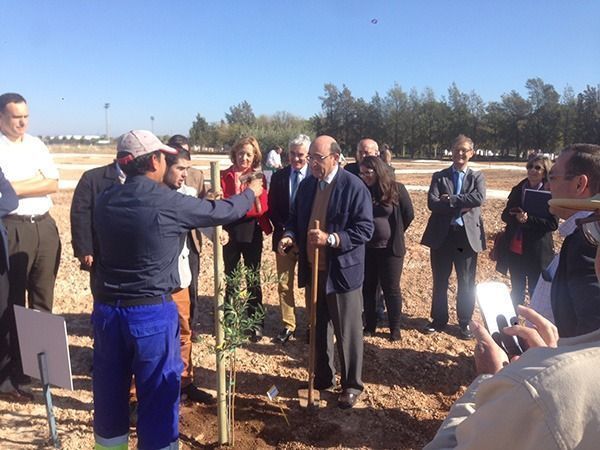 La D.O.P. Estepa planta un olivo en el Parque del Olivar