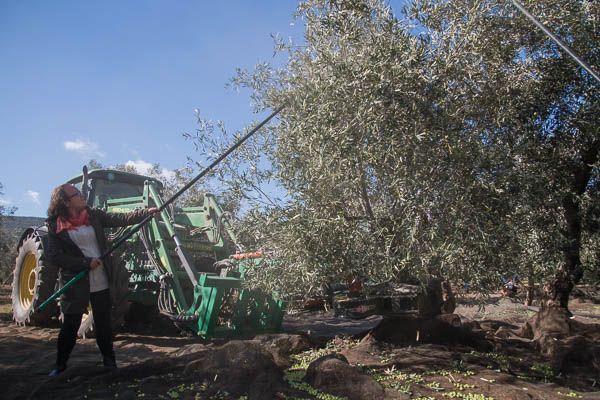 Una periodista prueba los métodos de recolección
