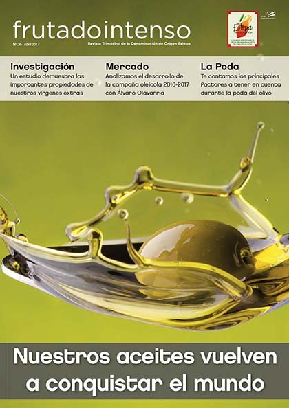 portada frutado intenso 36