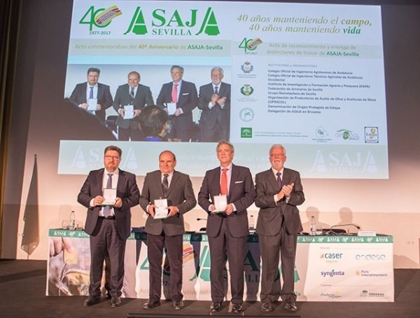 Distinción de honor para la Denominación de Origen Estepa