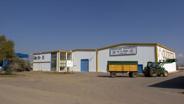 Almazara-asociadas-inmaculada