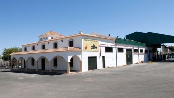 Almazara-cooperativa-nuestra-señora-de-la-paz