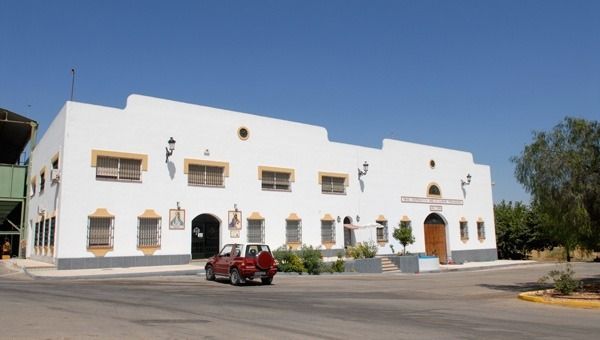 Almazara -cooperativa-olivarera-potanense