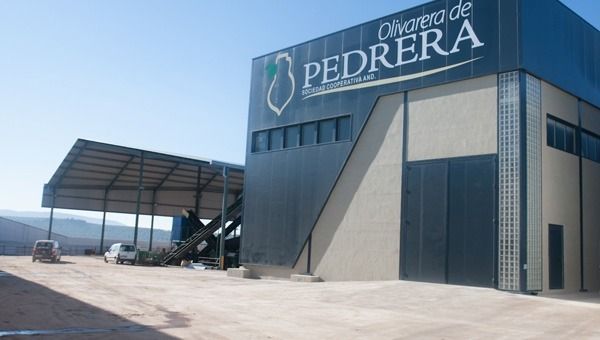 Almazara-cooperativa-olivarera-de-pedrera