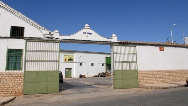 Almazara-asociadas-san-isidro