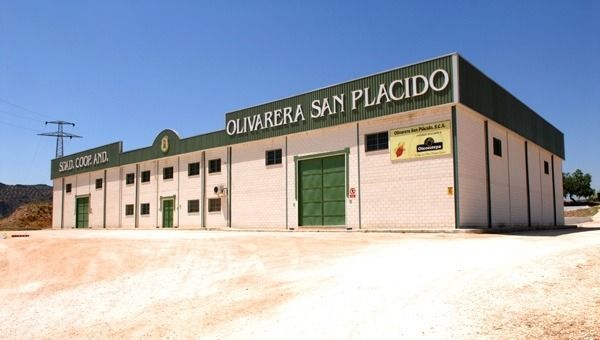 Almazara -Olivarera-San Plácido