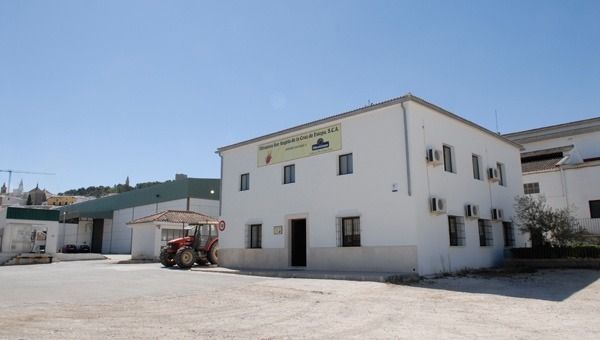 Almazara-sor-angela-de-la-cruz