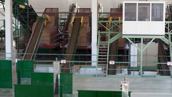 Almazara-Agropecuaria-de-Herrera