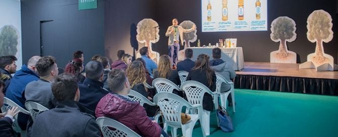 El mejor aceite de la provincia de Sevilla protagoniza la IV edición de la Feria del pan, aceite y aceituna de mesa