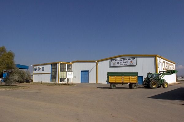 cooperativa olivarera inmaculada concepción