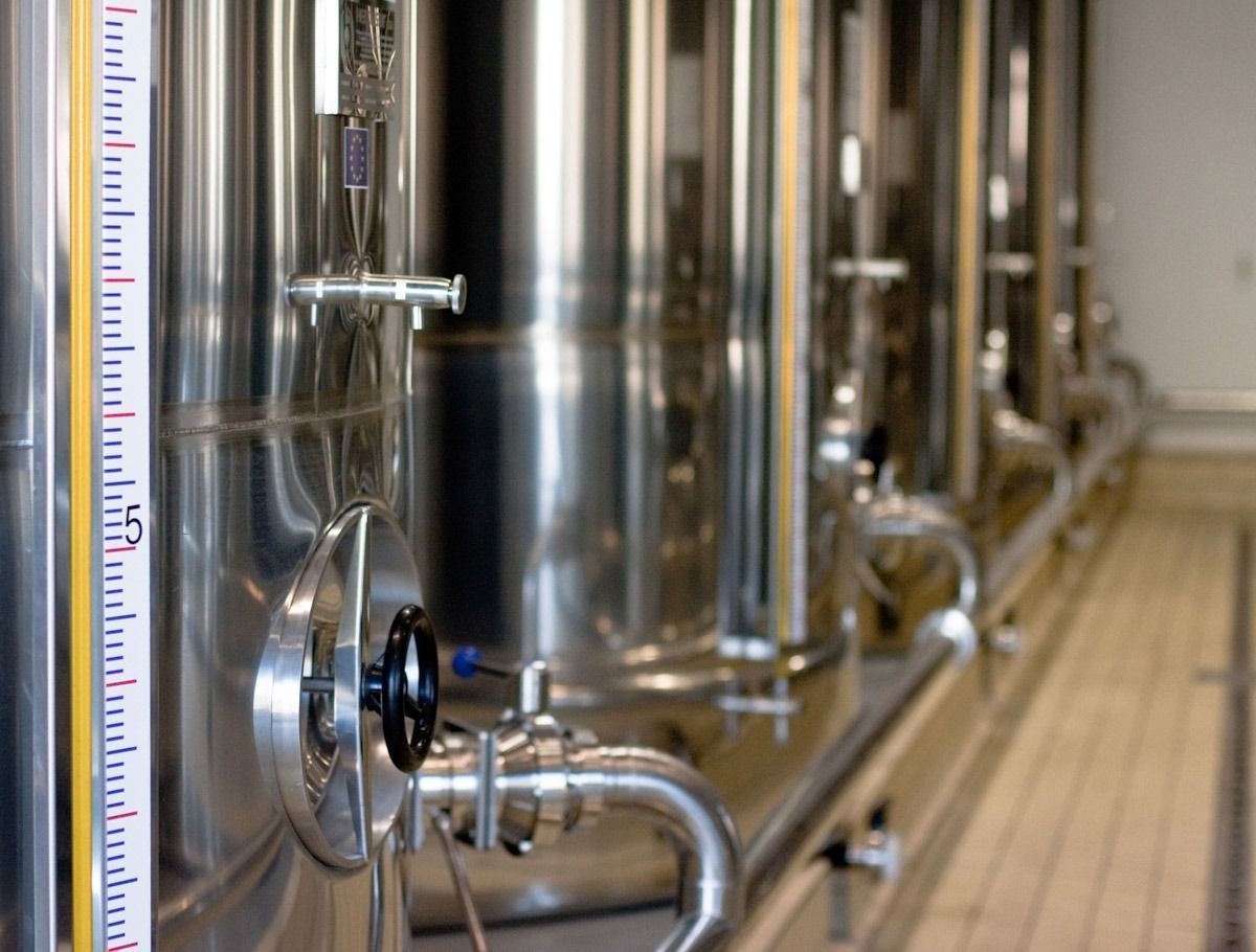 cooperativa olivarera inmaculada concepción 3