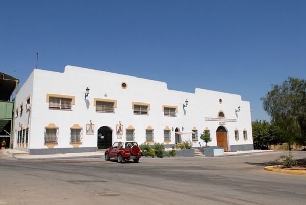 Olivarera Pontanense 1