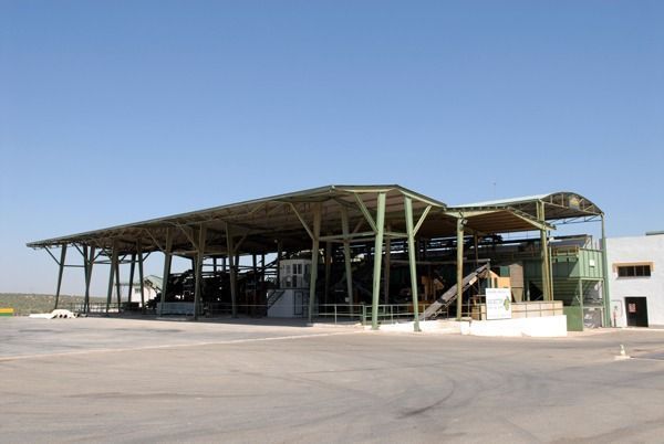 Olivarera Pontanense 2