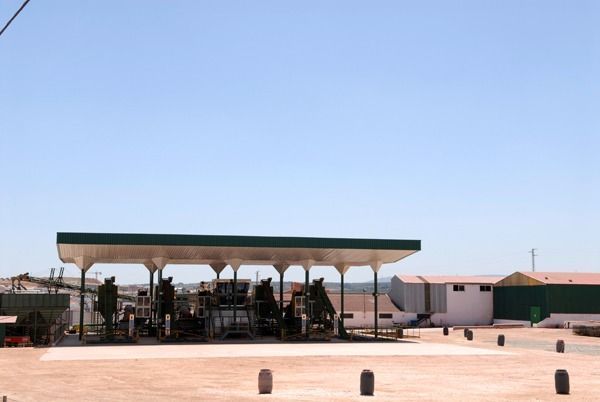 Olivarera de Casariche 1