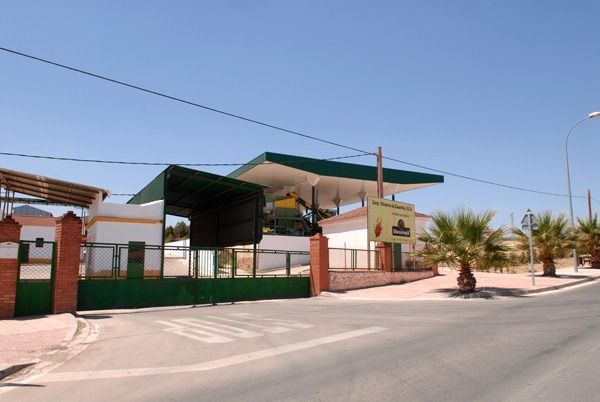 Olivarera de Casariche 2