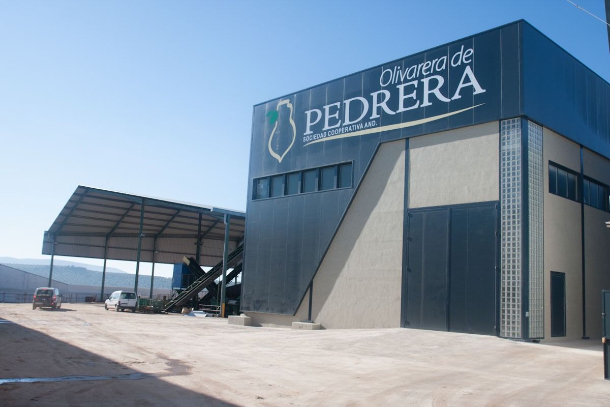 Olivarera de Pedrera3