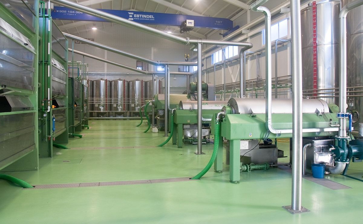 Olivarera de Pedrera4