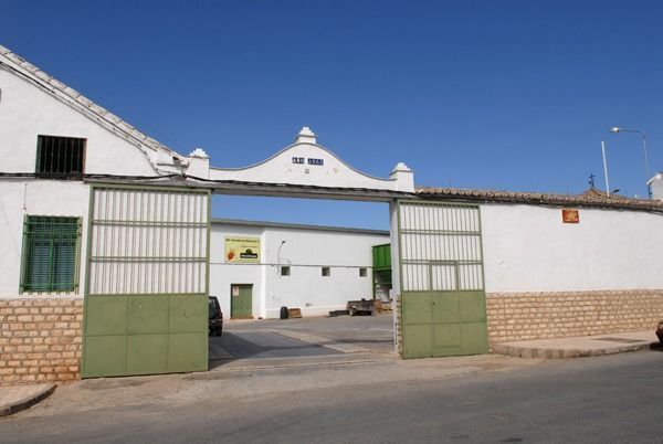 San Isidro de Gilena 1