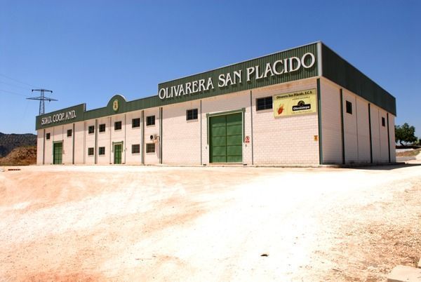 Olivarera San Plácido de Badolatosa
