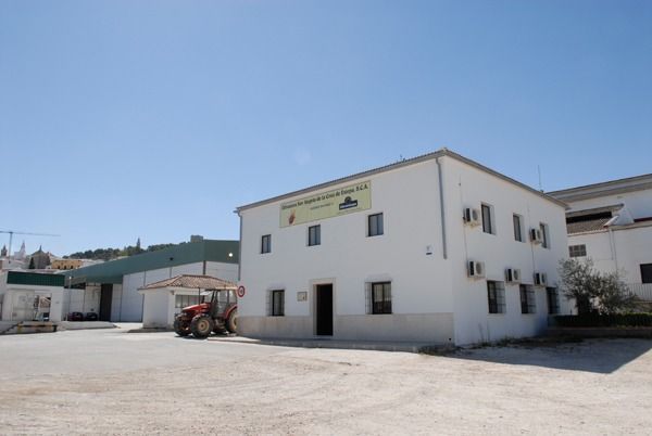 Sor Ángela de la Cruz 1