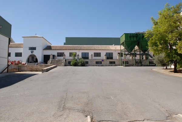 Sor Ángela de la Cruz 3