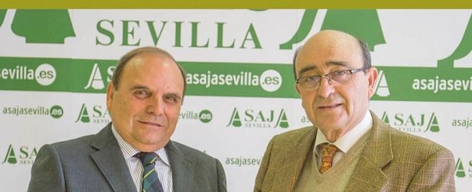 Revista frutado intenso 38