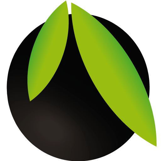 san nicolas marinaleda san nicolas marinaleda