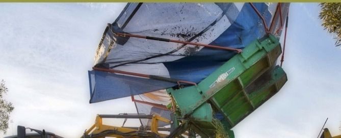 Revista frutado intenso 42