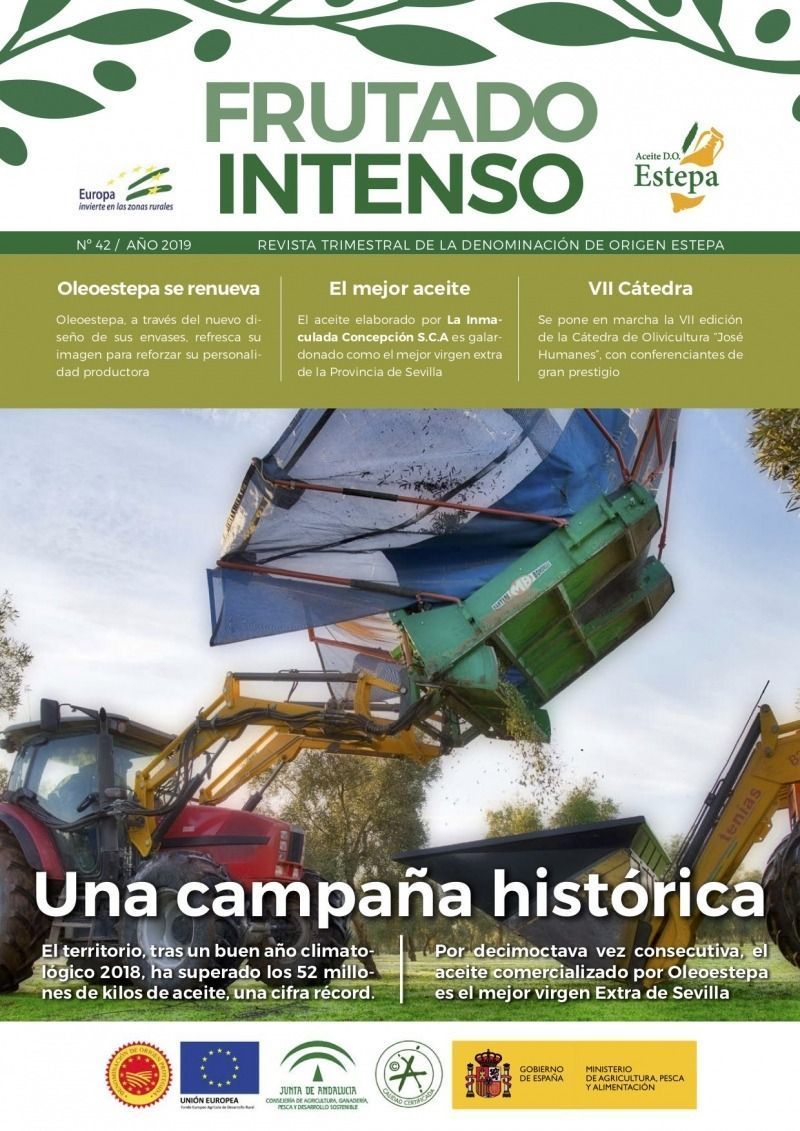 Revista frutado intenso 42