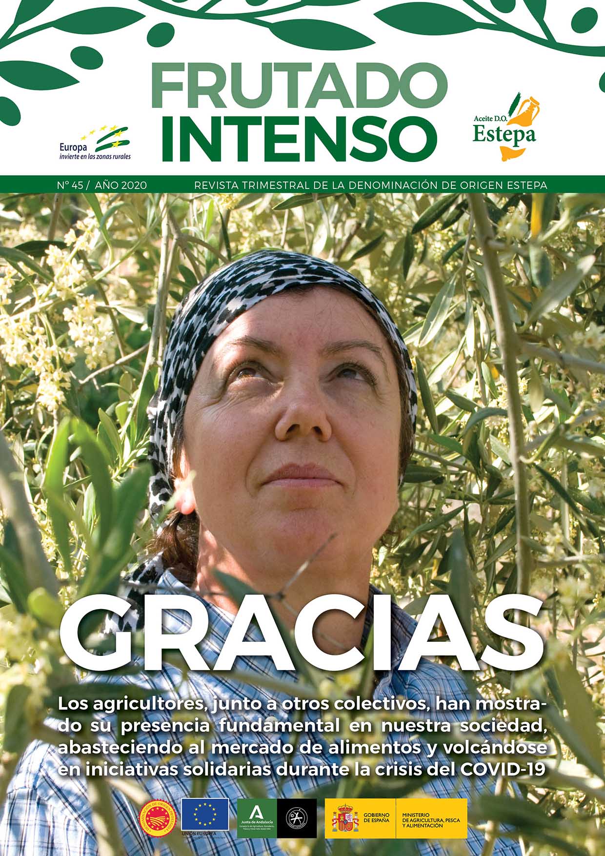 Frutado-Intenso-45-portada