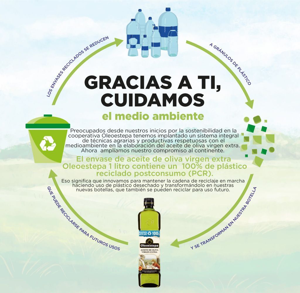 infografía reciclado plástico