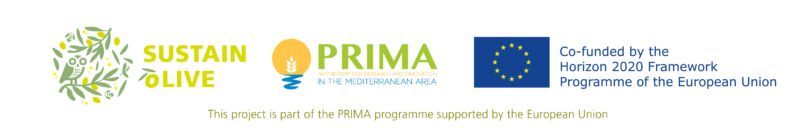 Logos SO_PRIMA_UE