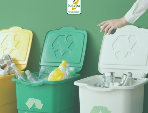 Cómo empezar a cuidar del medio ambiente con pequeños gestos