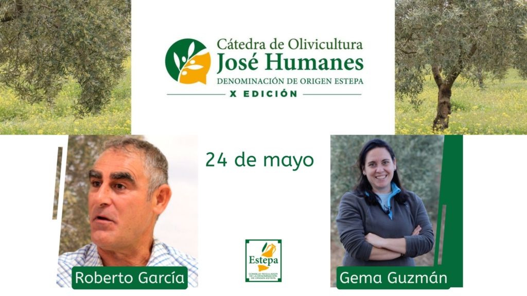 Miniatura de YouTube 1280×720 px (59)