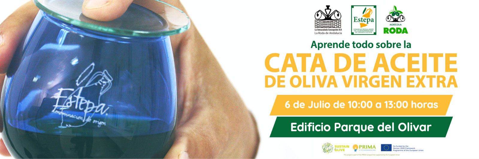 Banner-Web-La-Roda-de-Andalucía