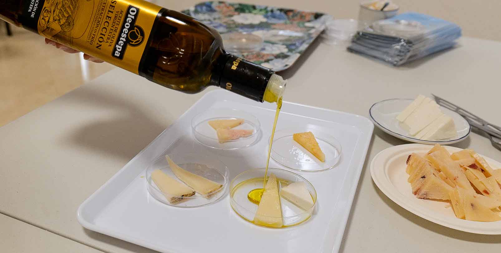 Captura-de-pantalla-2023-07-11-a-las-11.41.48