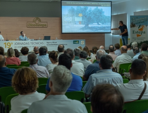Éxito de público en los Diálogos «Futuro del Olivar»​