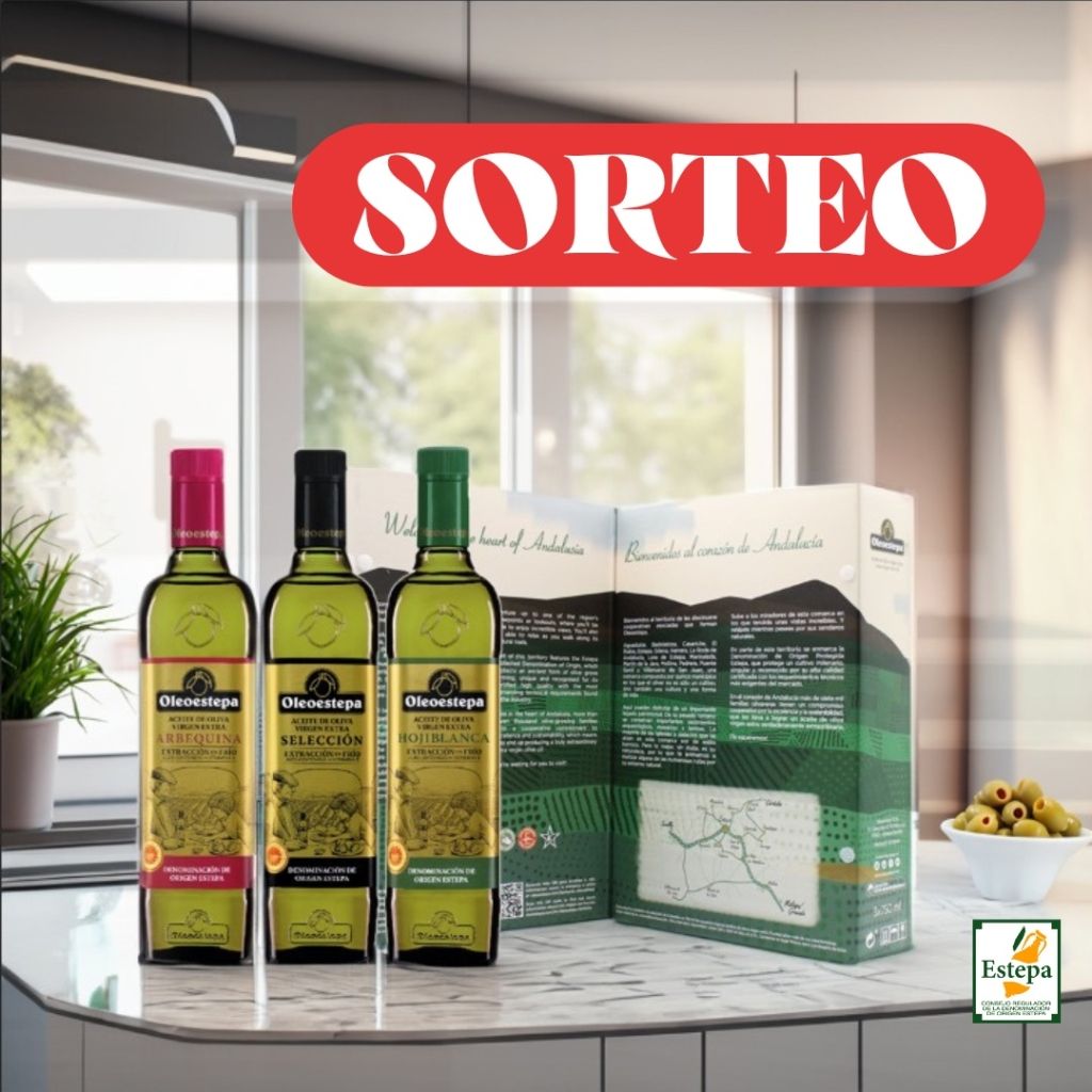 Diseño sin título – 2